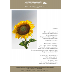 Oeuvre N°178/200,  Tournesol _ Terre de Charentes et de Gironde