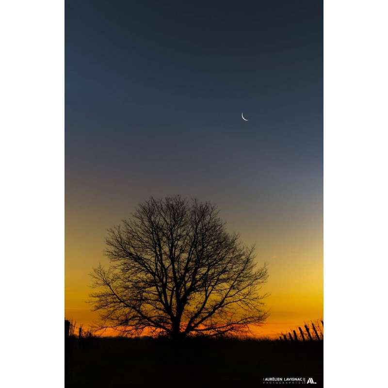 Oeuvre N°177/200, À l'aube d'une nouveau jour