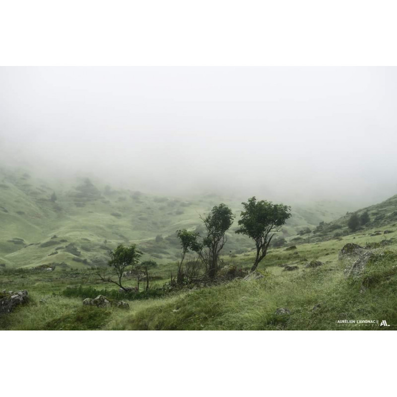 Oeuvre N°061, Sortir de la Brume _ Pays basque