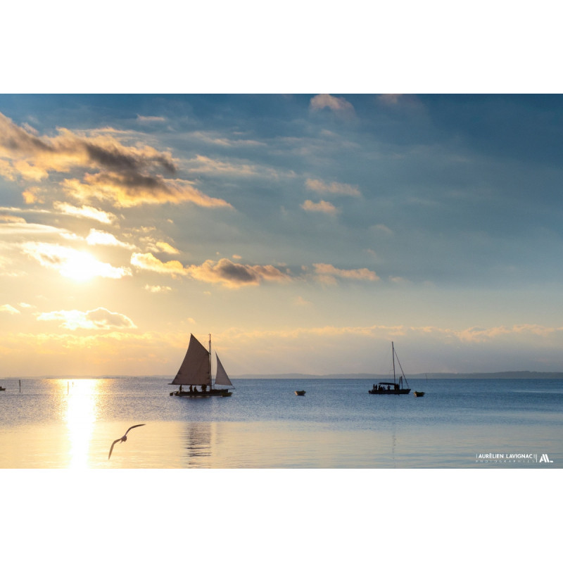 Oeuvre N°164, Voyage _ Bassin d'Arcachon, Andernos
