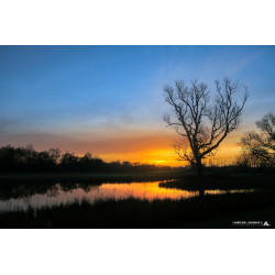 Oeuvre N°076/200 _  Début...