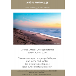 Oeuvre N°041, Vestiges du temps _ Pointe Cap Ferret