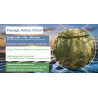 Sortie _ Coffret Photo - Bassin Arcachon _ Bordeaux _ partout en Gironde
