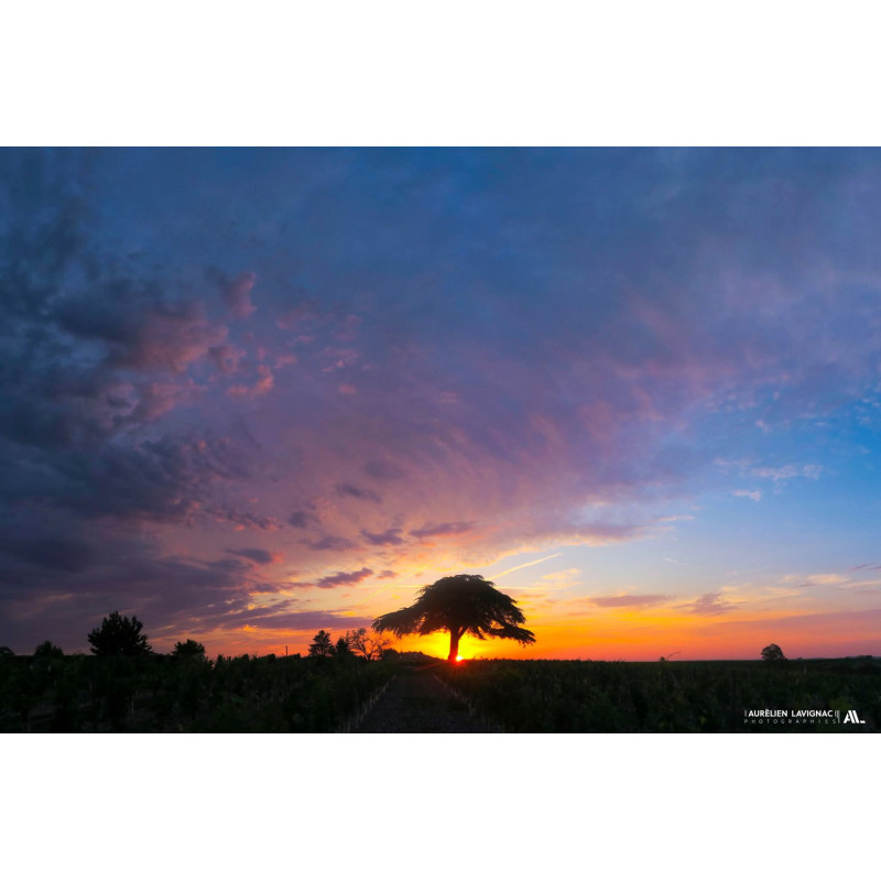 Posters, tableau photo, Tirage d'expo - Paysage - Charente - 2020