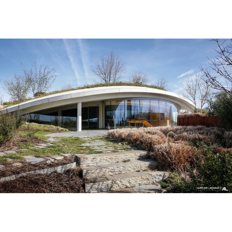 Art - Photo Paysage - hâteau Haut Bailly - Vignoble - 2025