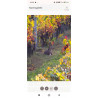 Art - Photo Animalière - Chevreuil au milieu du vignoble bordelais - 2021