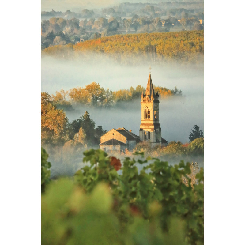 Art - Photo Paysage - Vignoble, Château et Eglise de Loupiac - Vignoble bordelais- 2025