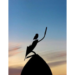 Tableau 40x60cm _ Photo Animalière _ Gironde et Pyrénées