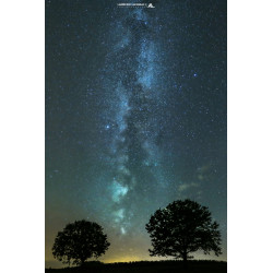 Oeuvre N°151/200, Cascade...