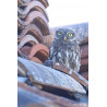 Tableau 40x60cm _ Photo Animalière _ Gironde et Pyrénées