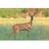 Tableau 40x60cm _ Photo Animalière _ Gironde et Pyrénées