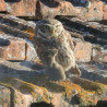 Tableau 40x60cm _ Photo Animalière _ Gironde et Pyrénées
