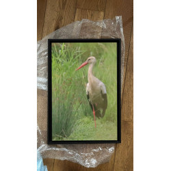 Tableau 40x60cm _ Photo Animalière _ Gironde et Pyrénées