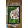 Tableau 40x60cm _ Photo Animalière _ Gironde et Pyrénées