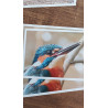 Tableau 40x60cm _ Photo Animalière _ Gironde et Pyrénées