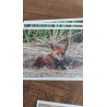 Tableau 40x60cm _ Photo Animalière _ Gironde et Pyrénées
