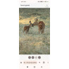 Tableau 40x60cm _ Photo Animalière _ Gironde et Pyrénées