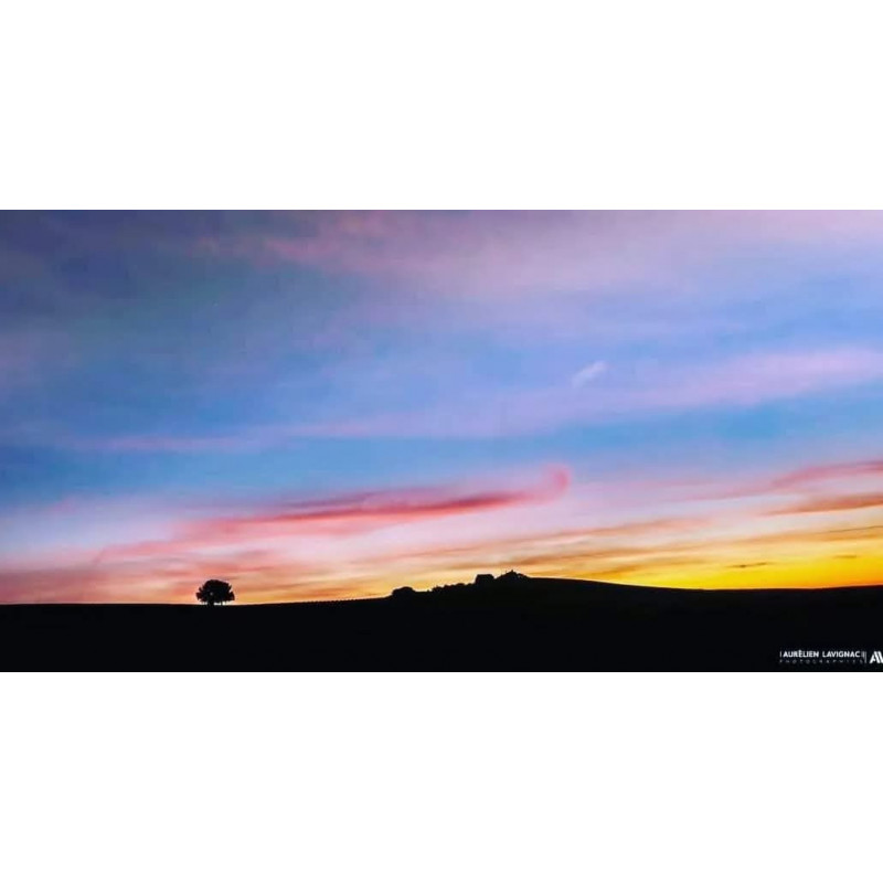 Oeuvre N°020, Souviens toi _ Saint Émilion _ Montgolfière