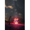 Oeuvre N°016, Ma danseuse, mon étoile _ Bassin d'Arcachon, Cap Ferret _ Lightpainting
