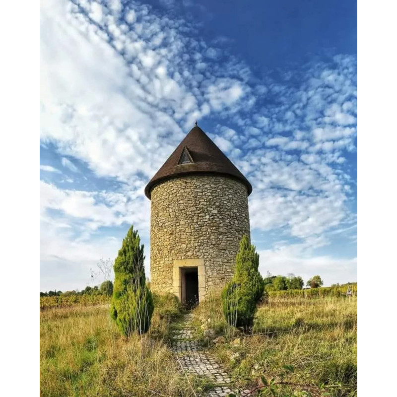 Oeuvre N°149/200, Au pas de la porte n°01, moulin, entre deux mers, Gironde