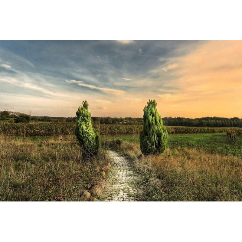 Oeuvre N°152/200, Au pas de la porte n°02, moulin, entre deux mers, Gironde