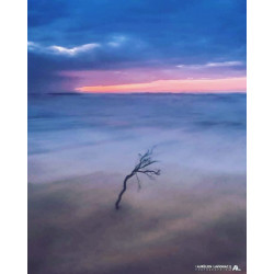 Résistez au temps n°02 -...