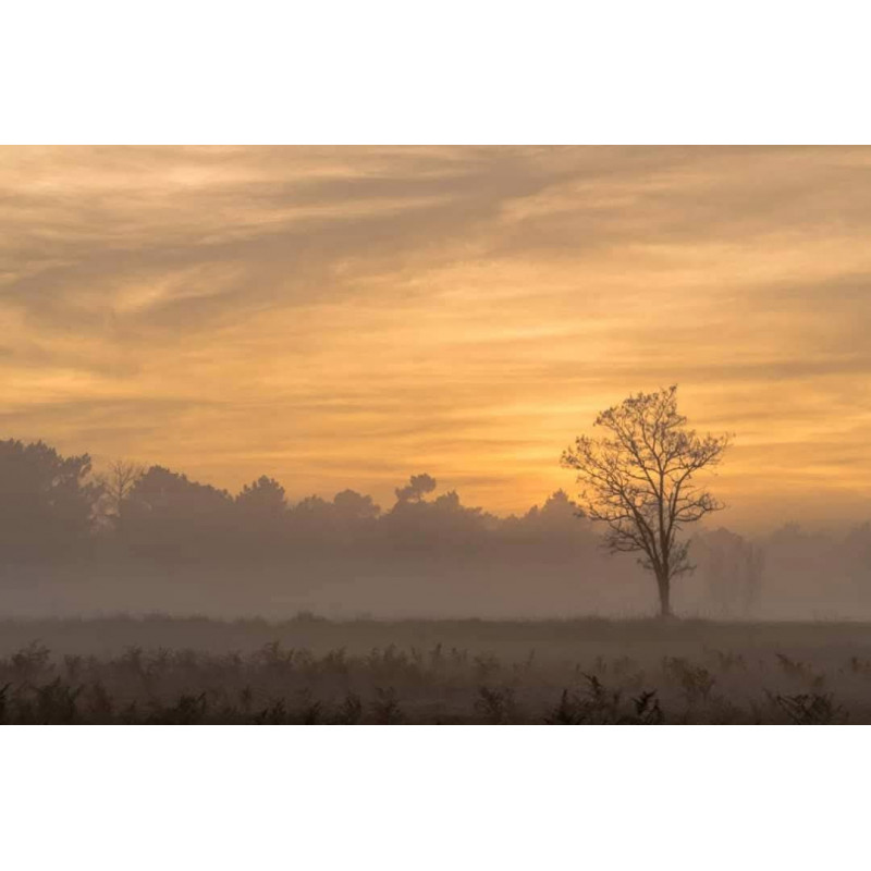Oeuvre N°032/200, Brume au soleil couchant _ Pessac Léognan _ Lac bleu
