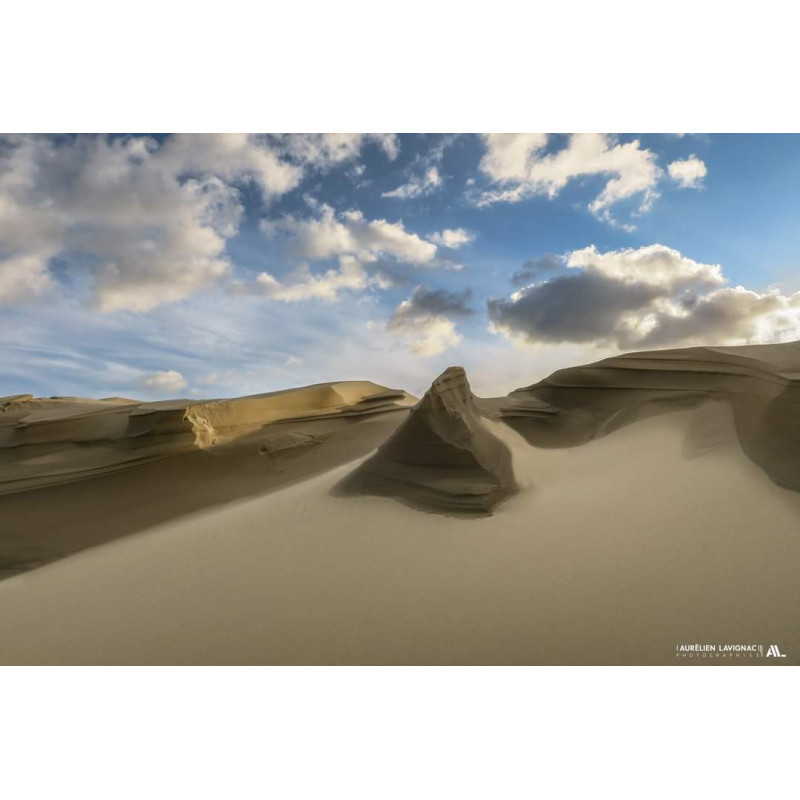 Oeuvre N°004/200, l'artiste sculpteur _ Dune du Pilat