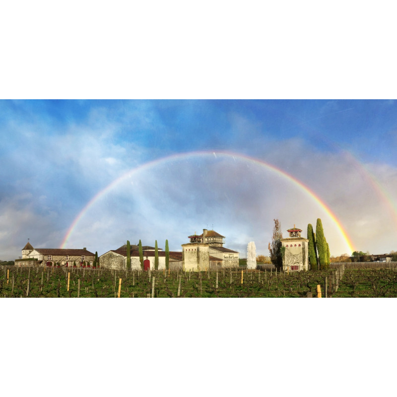 Château Smith Haut Laffite et son vignoble sous un arc en ciel - Pessac Léognan - 2021