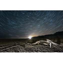 Arbre échoué et...