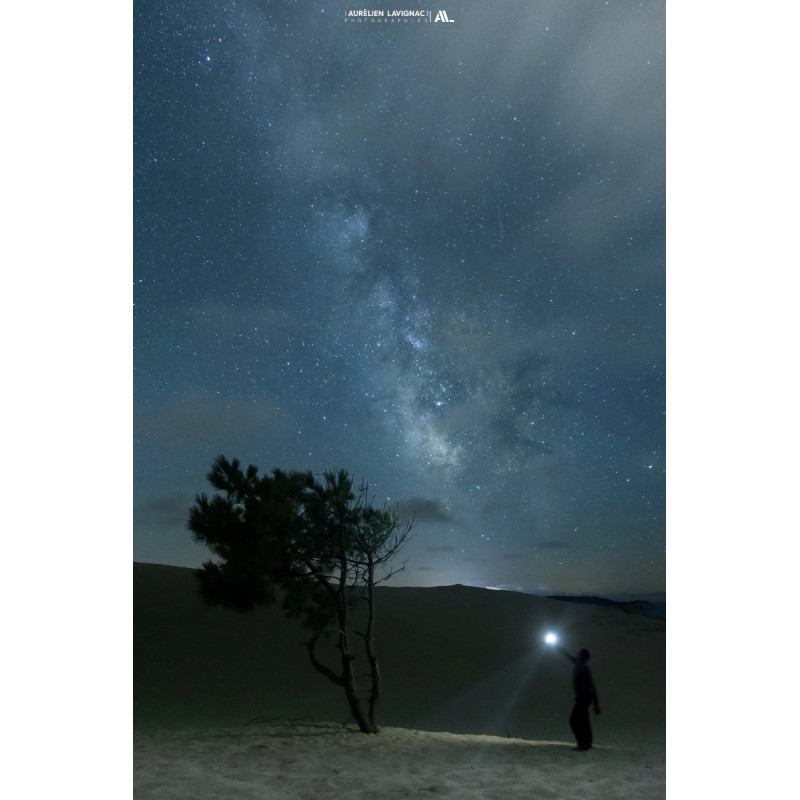 Dune du Pilat et arbre sous voie lactée n°03  - 2019