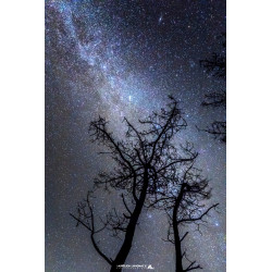 Oeuvre N°157/200, Deux...