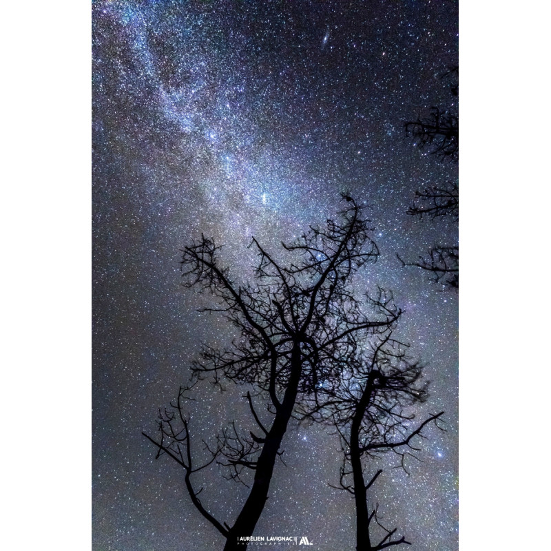Oeuvre N°157/200, Deux vieilles âmes sous les étoiles No 02 _ Souvenirs de la Dune du Pilat