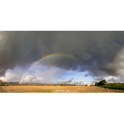 Oeuvre N°199/200, A ma...