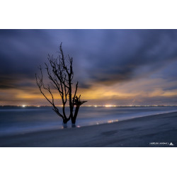 Oeuvre N°187/200,  Ame...