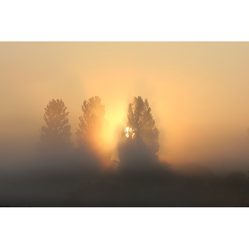 Oeuvre N°096/200, Les ailes d'un ange - Photographie d'art - Région Gironde - Bordeaux