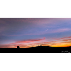 Photo murale - Paysage...