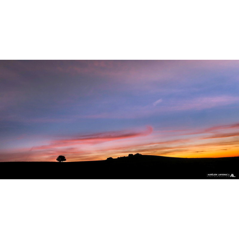 Photo murale - Paysage Girondin - Terroir et Vignoble de Saint Emilion - Nouvelle Aquitaine - 2021