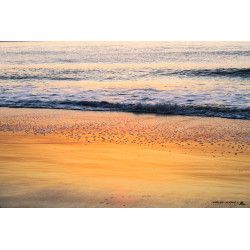 Tirage d'art - Photo de la...