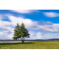 Photographie d'art - Pose...