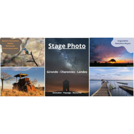Dune-du-Pilat - Stage Photo
