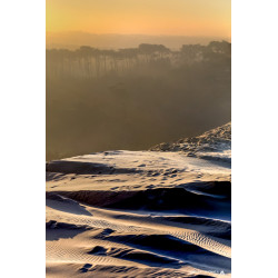 Dune-du-Pilat - Stage Photo