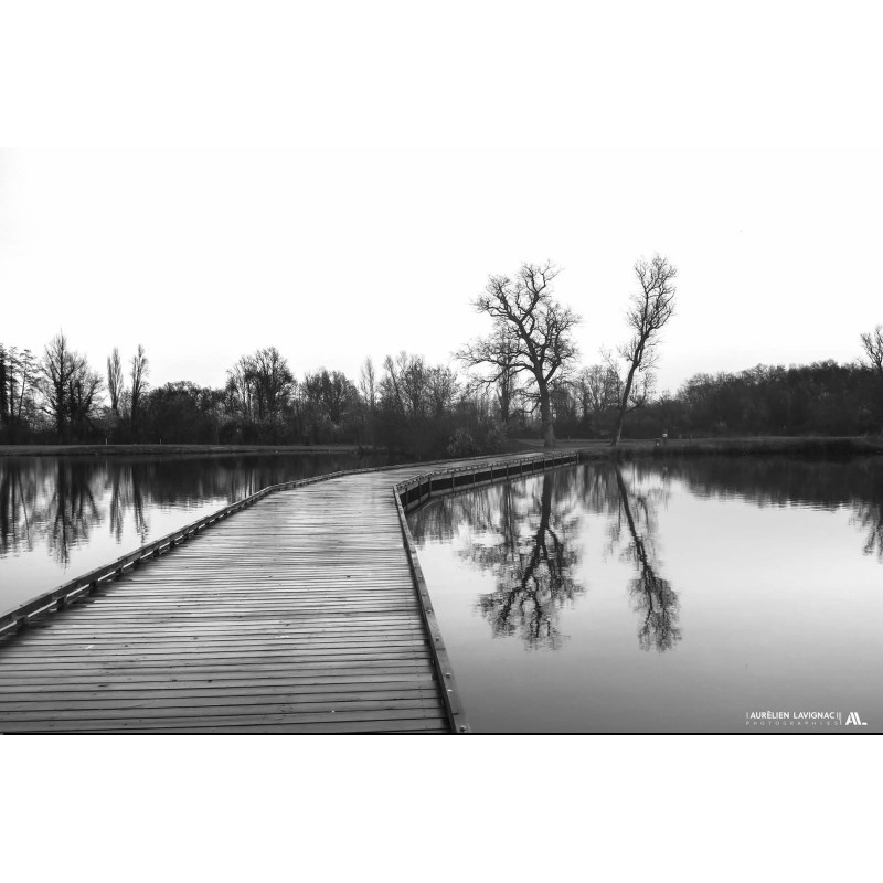 Tirage d'art - Photographie noir et blanc - Ponton et arbre au golf de Bdx-Bègles-Villenave d'ornon