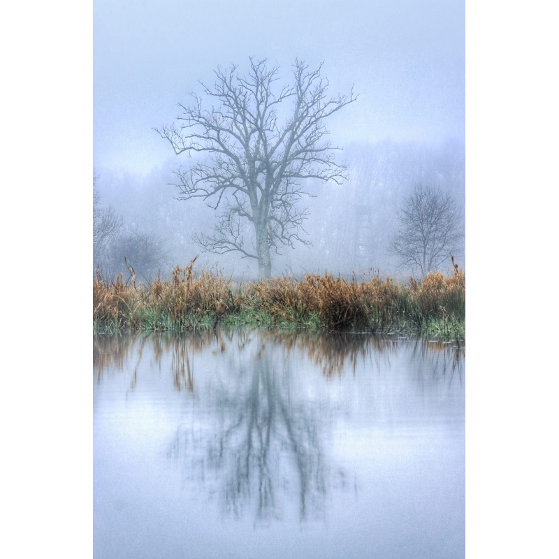 Oeuvre N°188/200,  Reflet d'âme solitaire _ Cadaujac