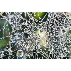 Oeuvre N°047/200, Pensées...