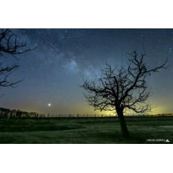 Tirage Photo d'art _...