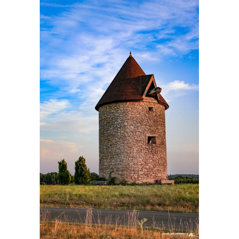 Photo du Moulin de Ladaux avec la chouette effraie