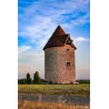 Photo du Moulin de Ladaux avec la chouette effraie