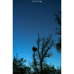 Oeuvre N°106/200, Le...