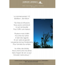 Oeuvre N°106/200, Le commencement N°1/2 _ Ex.3/5 _Cigogne, Cadaujac